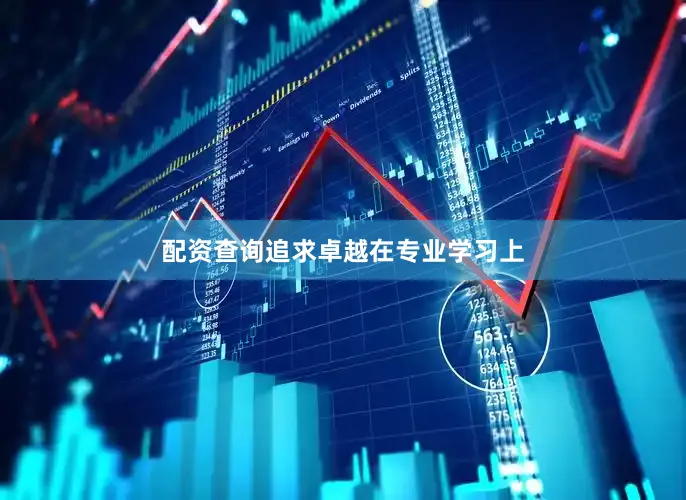 配资查询追求卓越在专业学习上