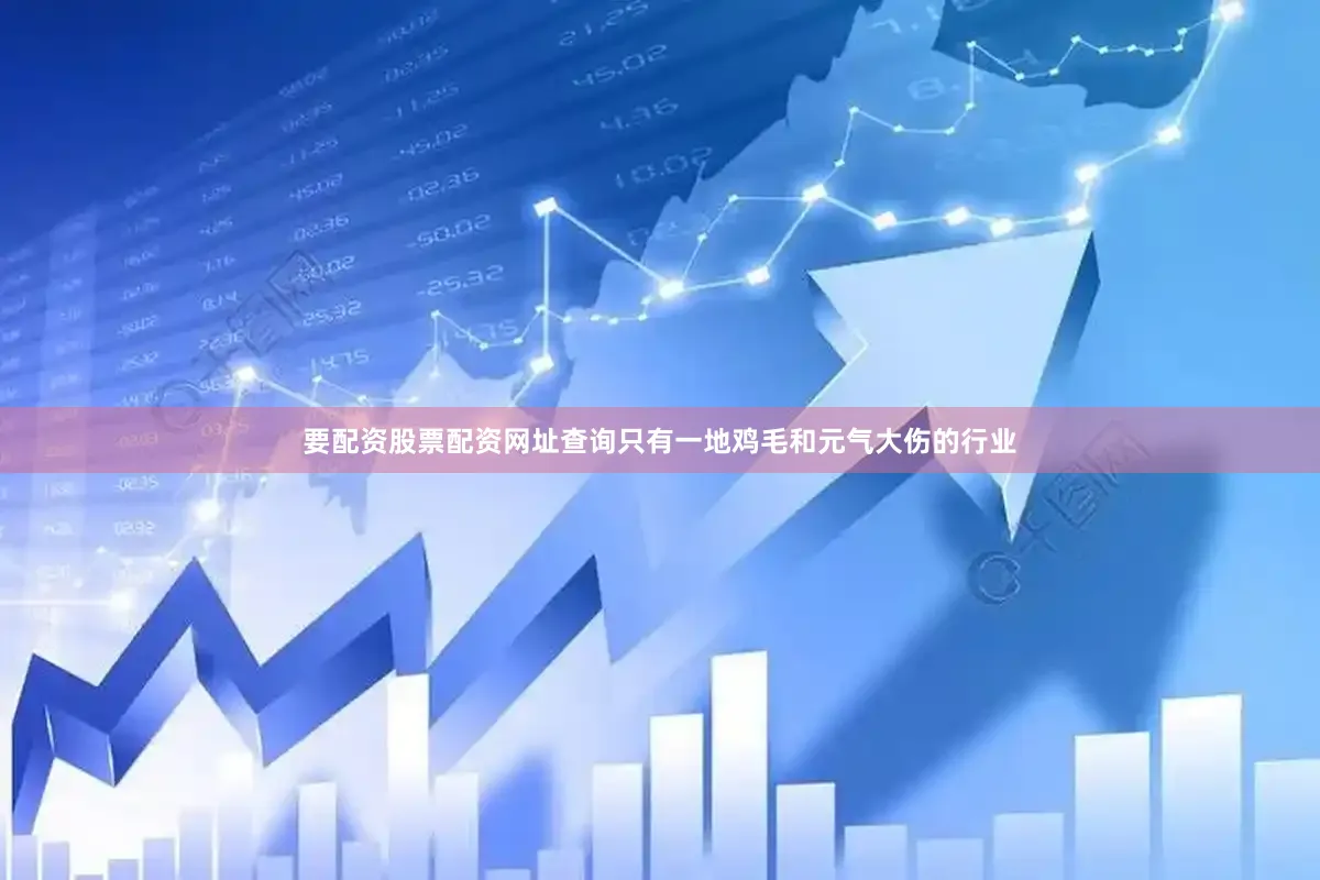 要配资股票配资网址查询只有一地鸡毛和元气大伤的行业