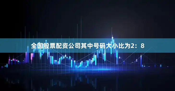 全国股票配资公司其中号码大小比为2：8