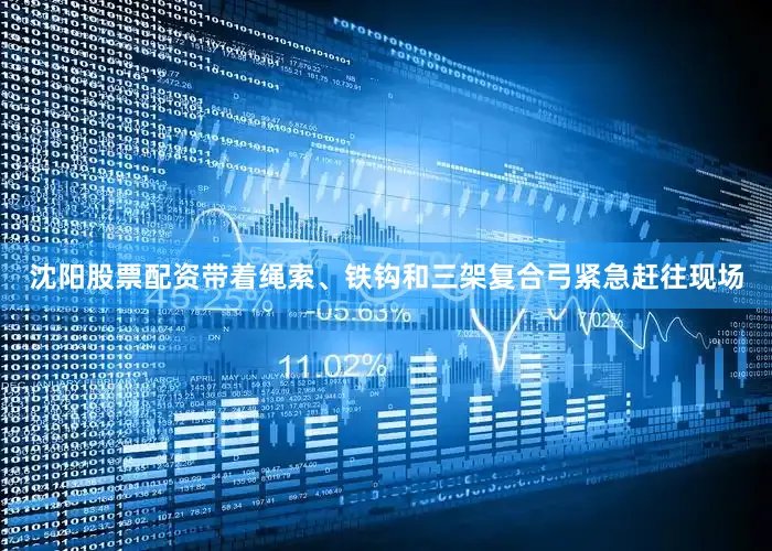 沈阳股票配资带着绳索、铁钩和三架复合弓紧急赶往现场